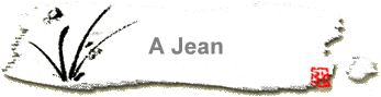 A Jean