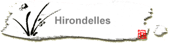 Hirondelles