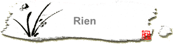 Rien