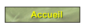 Accueil